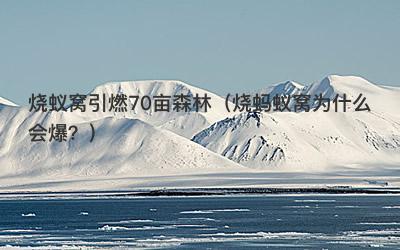 烧蚁窝引燃70亩森林（烧蚂蚁窝为什么会爆？）