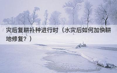 灾后复耕补种进行时（水灾后如何加快耕地修复？）