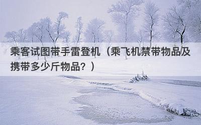 乘客试图带手雷登机（乘飞机禁带物品及携带多少斤物品？）