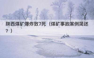 陕西煤矿爆炸致7死（煤矿事故案例简述？）