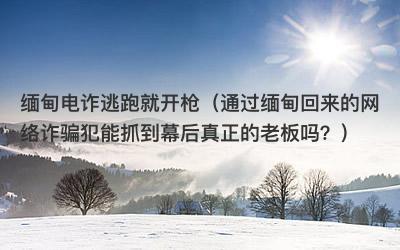 缅甸电诈逃跑就开枪（通过缅甸回来的网络诈骗犯能抓到幕后真正的老板吗？）