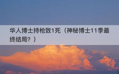 华人博士持枪致1死（神秘博士11季最终结局？）-第1张图片