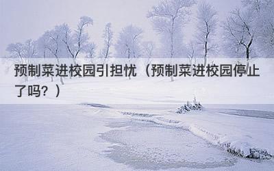 预制菜进校园引担忧（预制菜进校园停止了吗？）